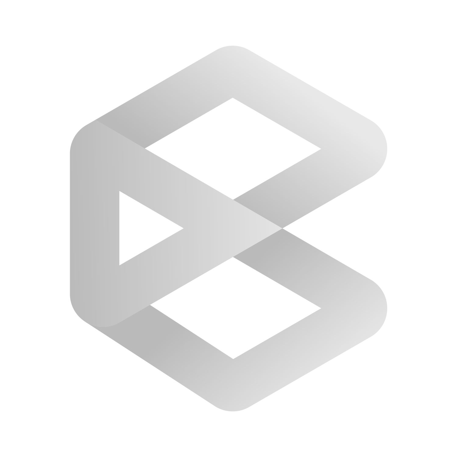 Brasidata Logo
